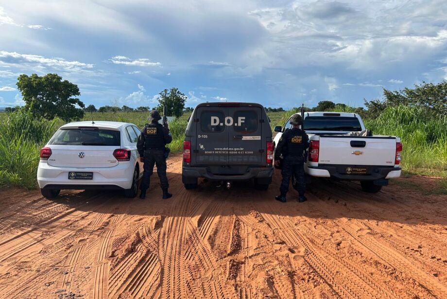 DOF apreende em MS 700 kg de maconha que iriam para MG  