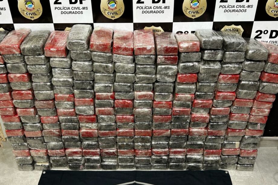 Polícia apreende R$ 15 milhões em cocaína em carga de produto de limpeza  