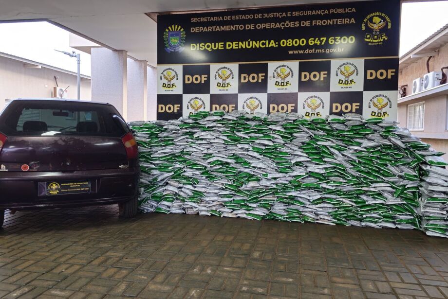 DOF apreende meia tonelada de agrotóxico na MS-379  