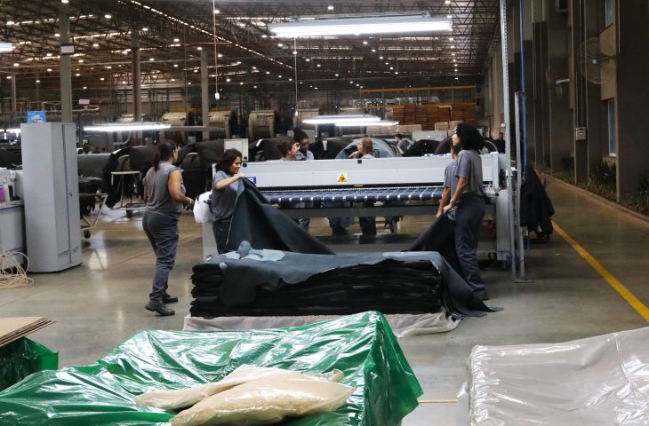 Economia de MS vive novo ciclo de maturidade aliando desenvolvimento e sustentabilidade