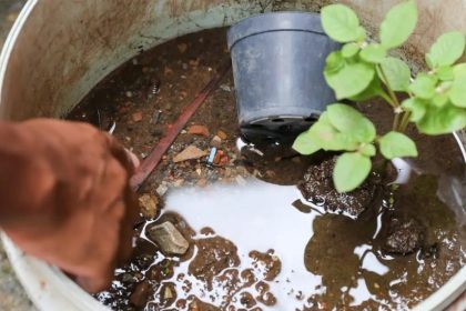 ATENÇÃO, MUNÍCIPES – Redobre os cuidados contra a Dengue após as chuvas