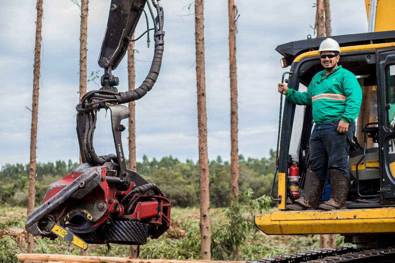 ELDORADO BRASIL REALIZA PROCESSO SELETIVO EM PARANAÍBA, SELVÍRIA E TRÊS LAGOAS