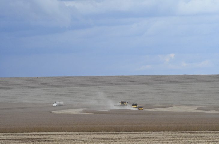 MS deverá produzir 14,6 milhões de toneladas de soja, volume 11,4% superior ao da safra passada