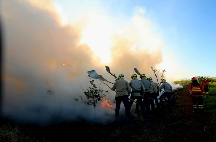 Prevenção aos incêndios: Governo de MS vai antecipar cronograma e lançar PSA Brigadas já em abril