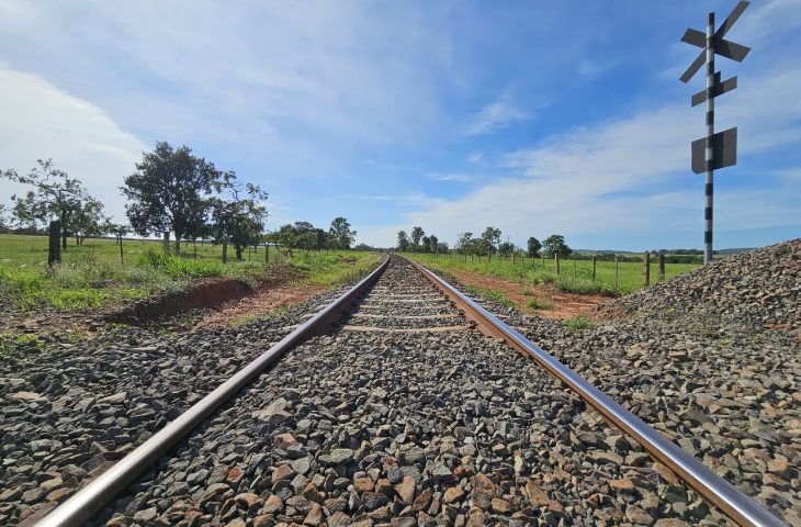 ANTT aprova proposta de construção de ramal ferroviário para escoar celulose pela Malha Norte