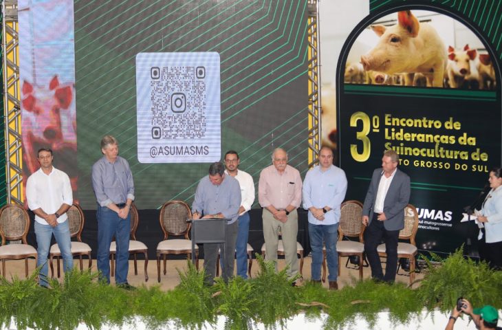 Modernização do programa Leitão Vida fortalece a competitividade da cadeia produtiva de MS