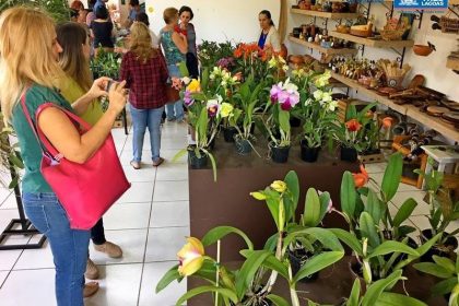 Casa do Artesão recebe Exposição de Orquídeas e Rosas do Deserto nos dias 02 e 03 de maio