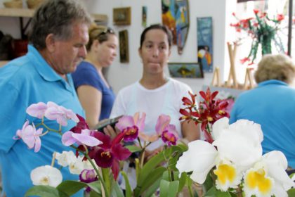 Nos dias 02 e 03, Casa do Artesão recebe Exposição de Orquídeas e Rosas do Deserto