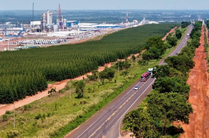 Governo de MS realiza leilão para concessão da Rota da Celulose na próxima quinta-feira