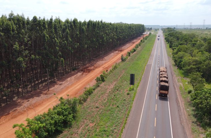 Rota da Celulose vai qualificar rodovias, impulsionar economia e mudar realidade de muitas pessoas