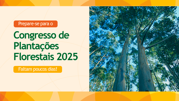 Congresso Plantações Florestais, promovido pelo IPEF, reforça o papel estratégico do setor e amplia programação em 2025