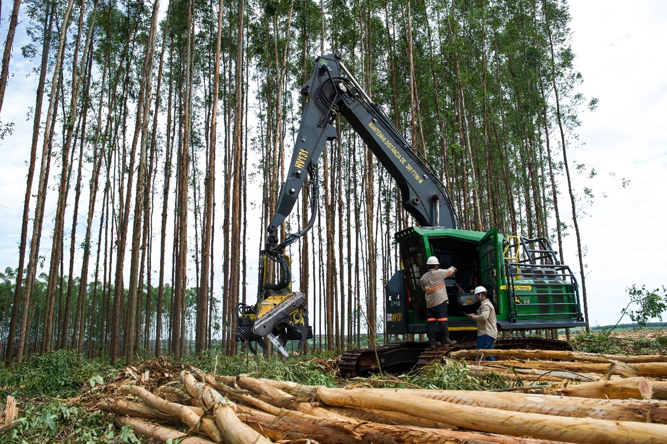 Vagas abertas: Eldorado Brasil realiza processo seletivo em Selvíria, Três Lagoas, Castilho e Guaraçai