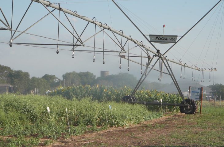 Vitrines Tecnológicas do Pantanal Tech MS trazem inovação a serviço da sustentabilidade no bioma