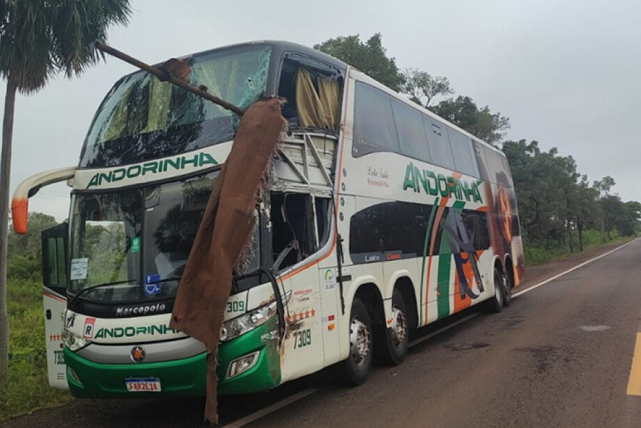 Acidente entre ônibus intermunicipal e caminhão mata duas pessoas na BR-262 