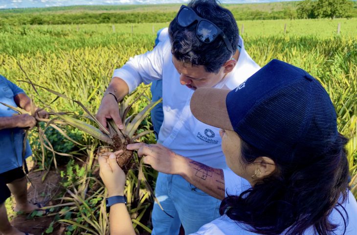 Startup criada na UEMS desenvolve tecnologia que aumenta a eficiência das lavouras