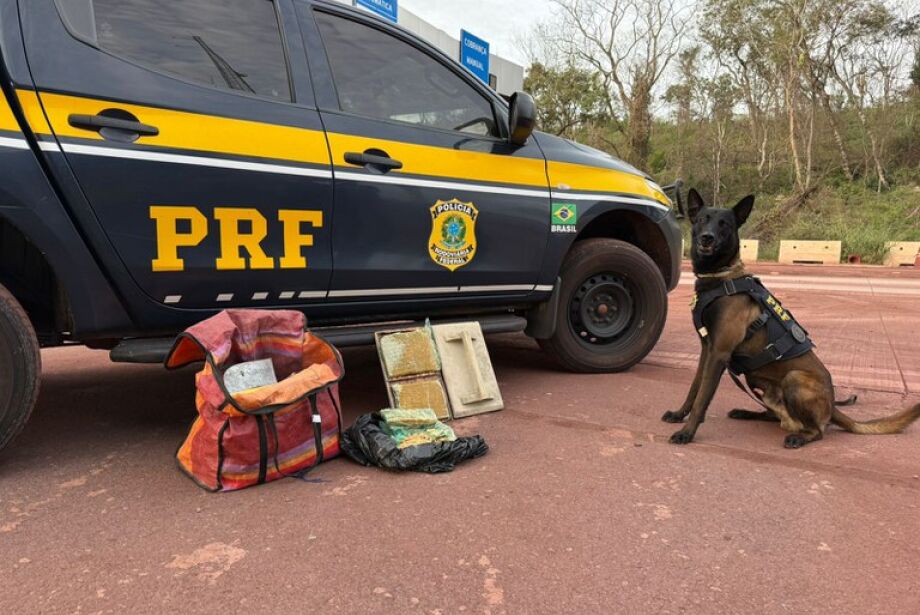 Ação da PRF prende quatro pessoas, apreende veículo furtado e drogas em MS  