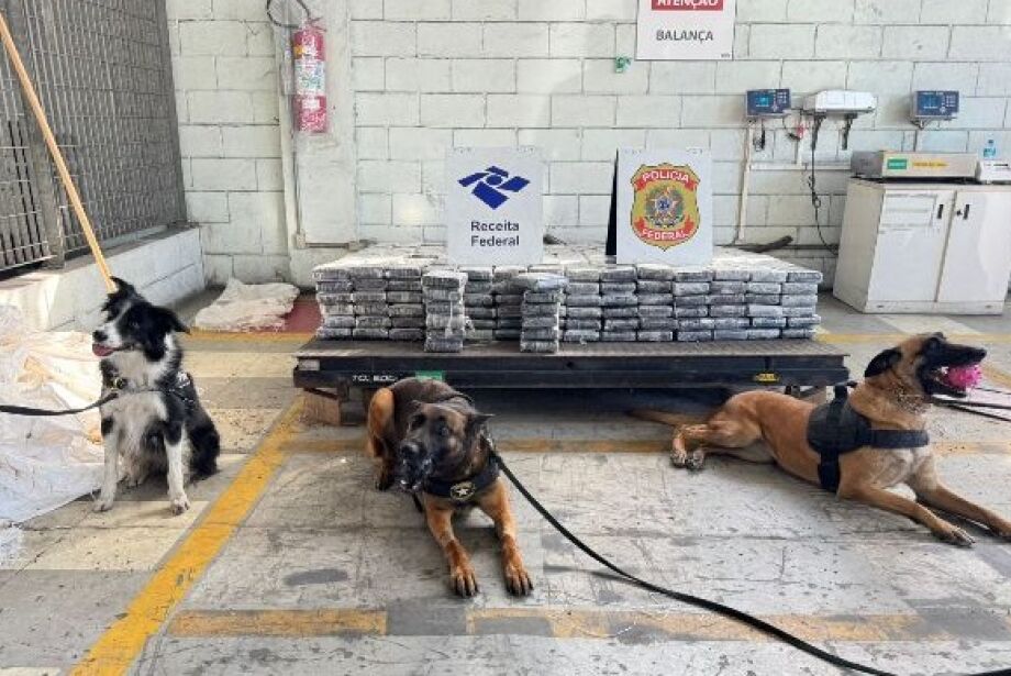 Porto de Santos: Receita intercepta 657 quilos de cocaína em carga de café para a Polônia  
