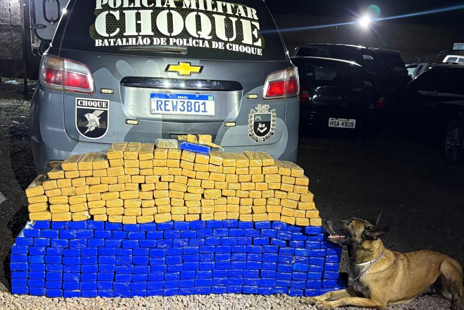 Choque apreende drogas avaliadas em R$ 757 mil em bairro de Campo Grande  