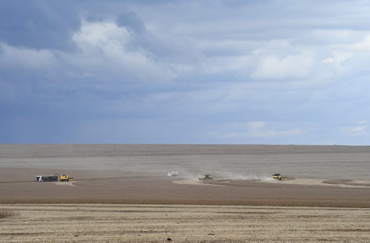 Motor de MS: agronegócio deve puxar PIB do Estado, com previsão de crescer 5,5% neste ano
