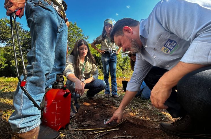 Tecnologia: sementes de inovação plantadas há um ano no Pantanal começam a dar frutos