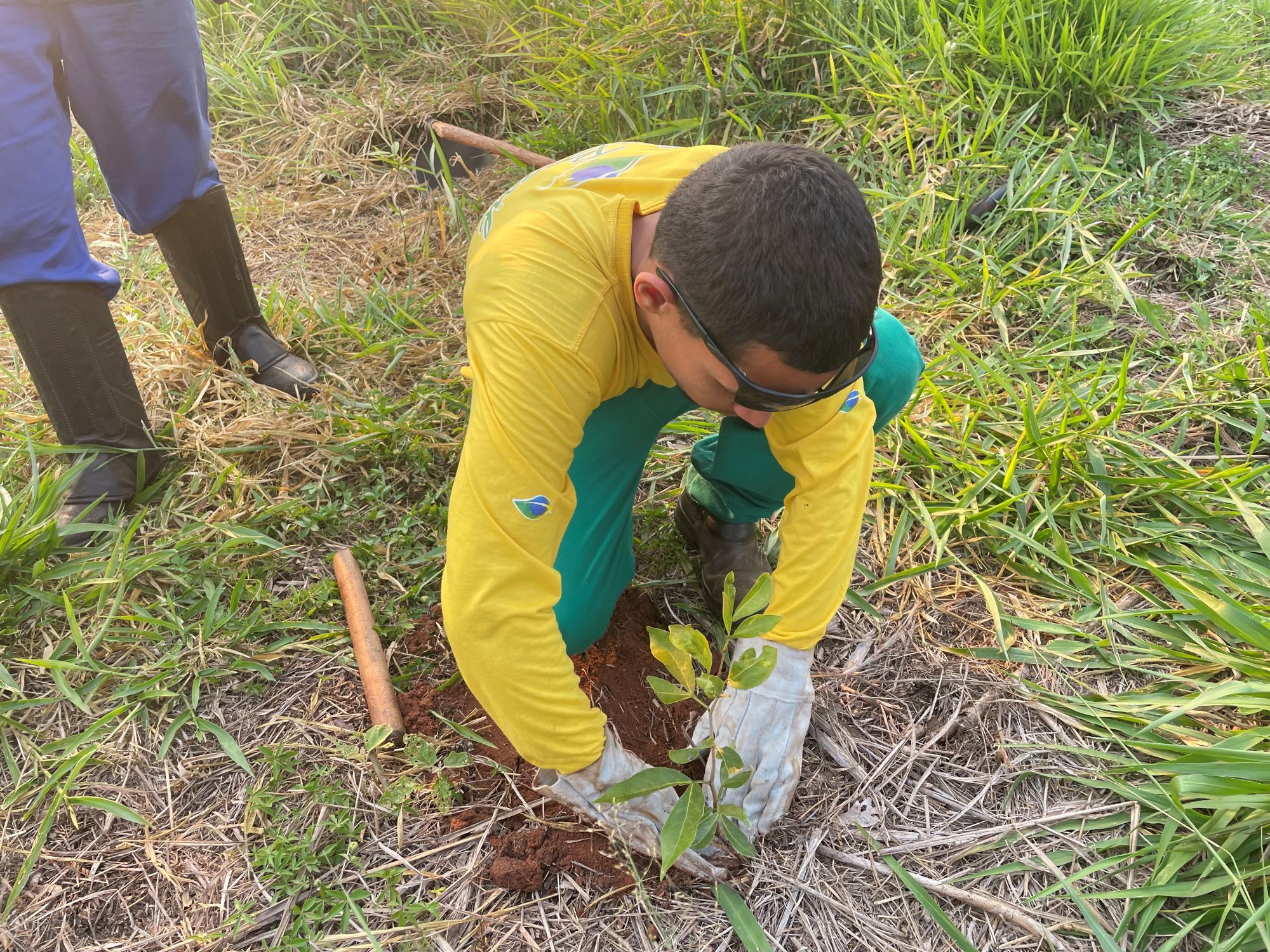CESP irá restaurar mais de 460 hectares de mata nativa em Mato Grosso do Sul