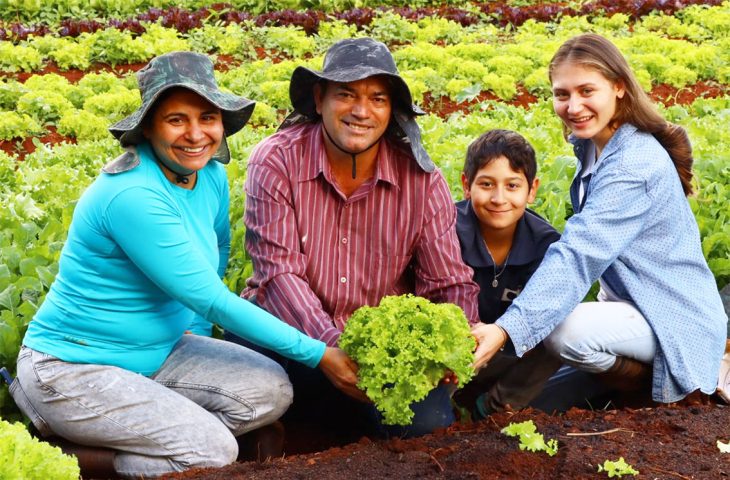 Novo recorde nas vendas da agricultura familiar é projetado após movimentação de R$ 5,1 milhões em MS