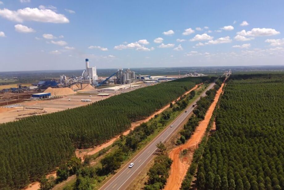 K&G recorre contra desclassificação no leilão da Rota da Celulose  