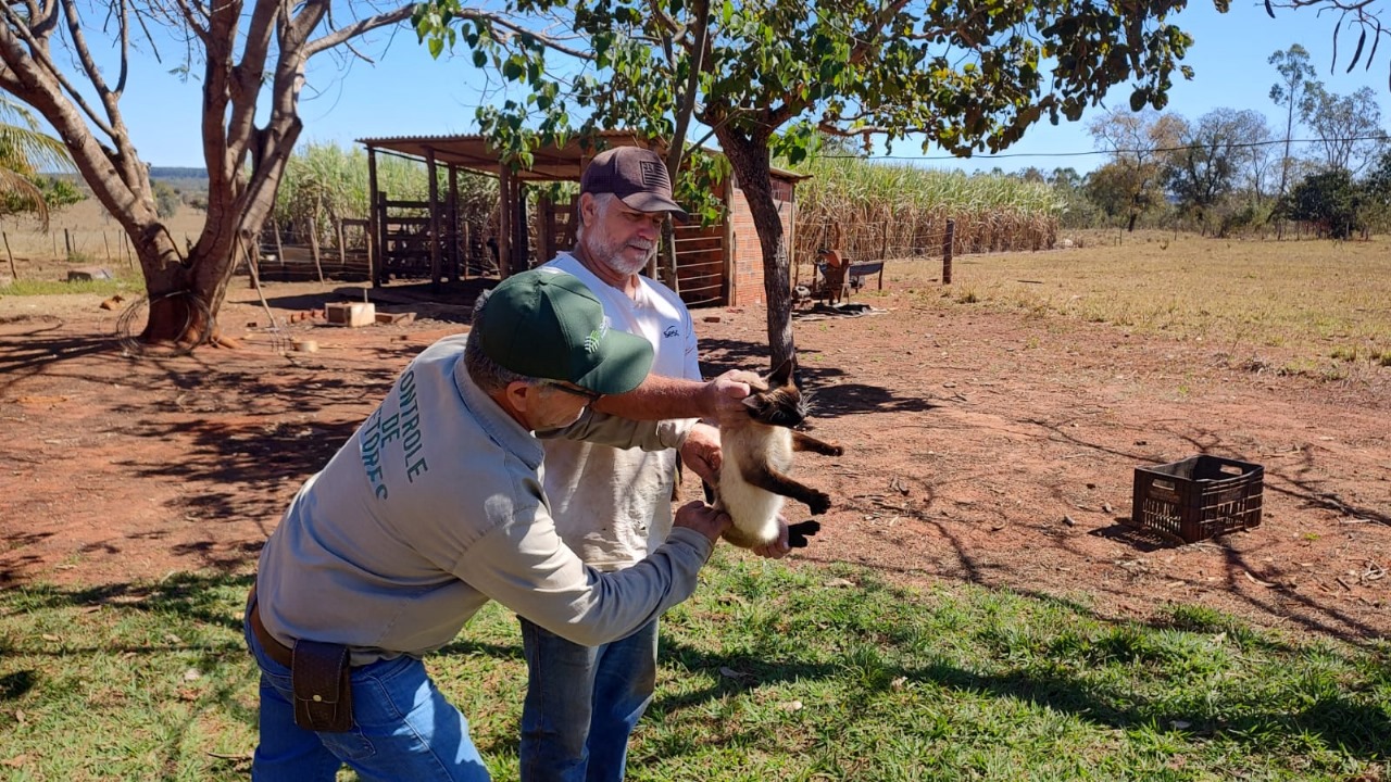 Selvíria inicia campanha de vacinação contra a raiva animal