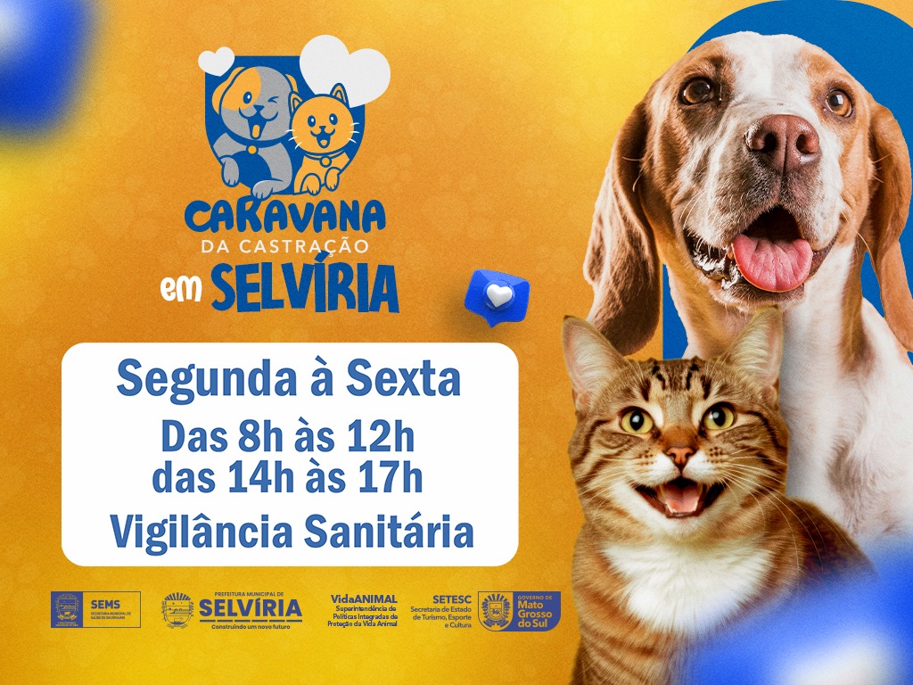 Cadastro para “Caravana da Castração” de cães e gatos continua em Selvíria; Prefeitura consegue aumentar número de cirurgias