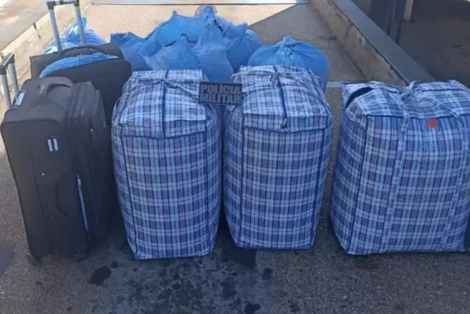 Polícia apreende 300 kg de folha de coca em fiscalização de ônibus em MS  