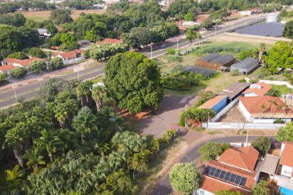 Viveiro Municipal vai abrir em horário especial durante o mês de setembro para doação de mudas