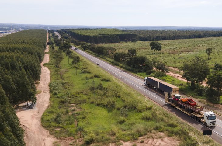 Rota da Celulose: Governo de MS convoca segundo colocado em leilão de concessão