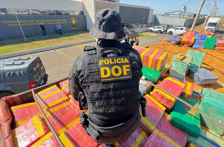 DOF apreende mais de 15 toneladas de maconha escondidas em carga de milho em MS
