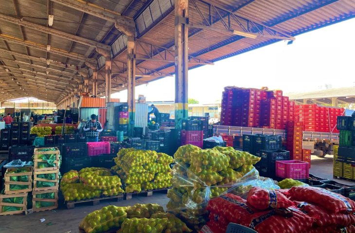 Mato Grosso do Sul amplia participação na Ceasa, com aumento de 18,78 % no volume comercializado