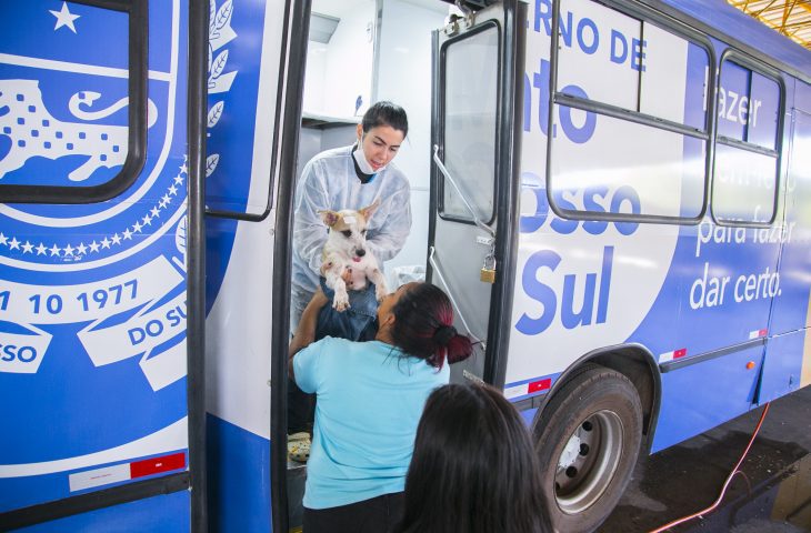 Mutirão deve castrar 200 cães e gatos em Selvíria
