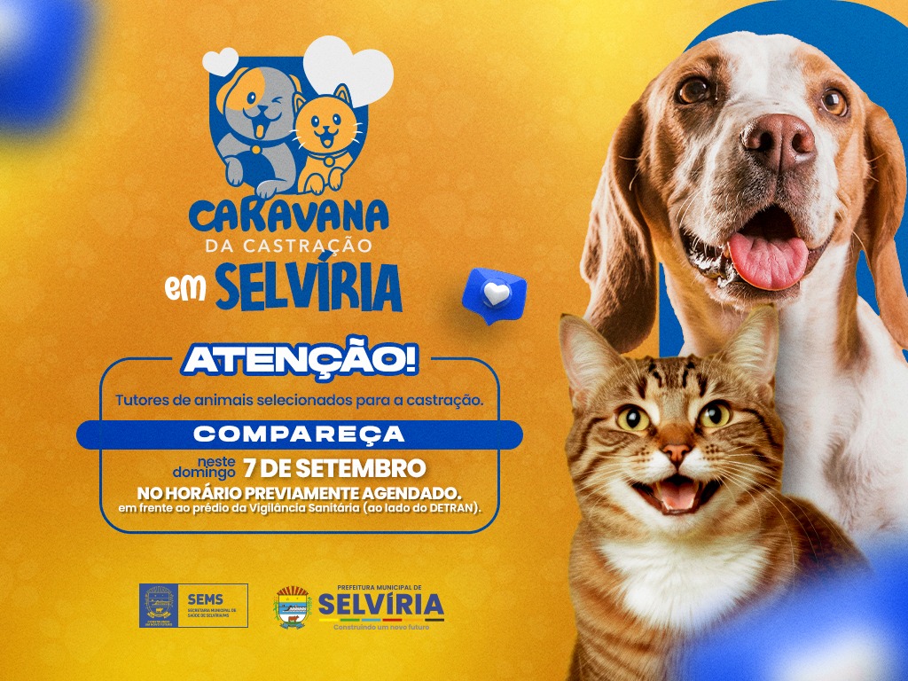 Domingo: Mutirão irá castrar 200 cães e gatos em Selvíria