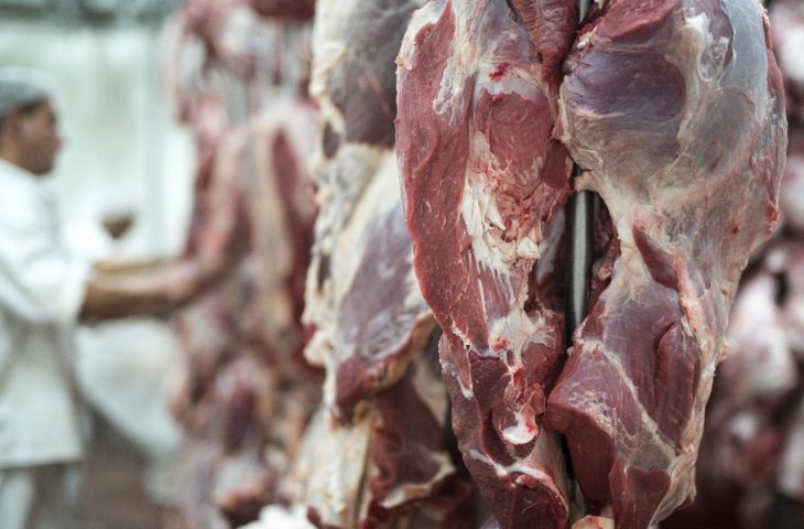 Exportações de MS somam US$ 7,24 bilhões até agosto e carne bovina cresce 43,7% no acumulado do ano