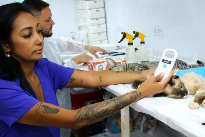 Primeiro dia da Caravana da Castração atende 134 animais em Três Lagoas