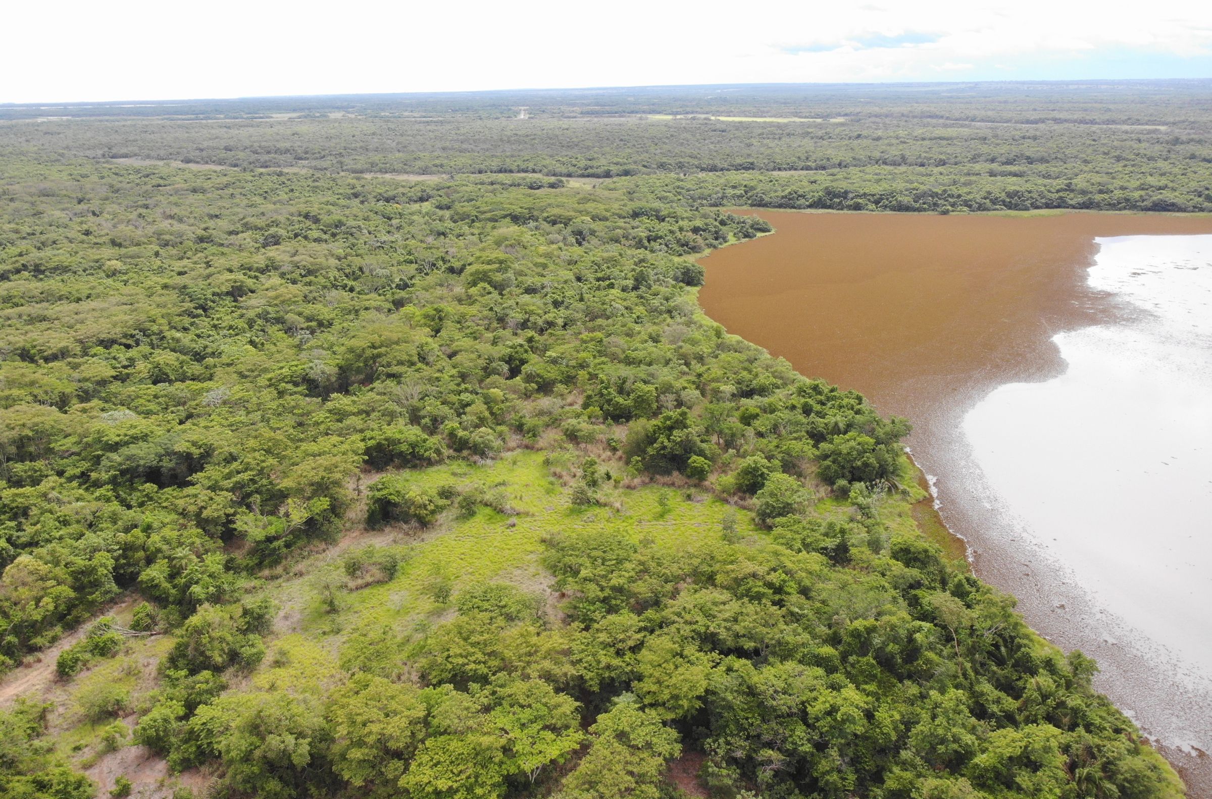 No mês do Cerrado, CESP reforça compromisso de restaurar mais de 4.517 hectares de mata nativa em Mato Grosso do Sul