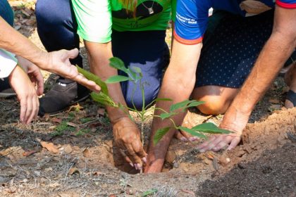 Três Lagoas inicia Semana da Árvore com plantio de mudas e ações educativas junto ao “Rua É Nossa”
