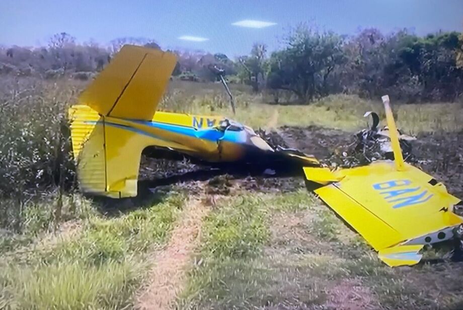 Queixadas na pista podem ter provocado acidente aéreo no Pantanal  
