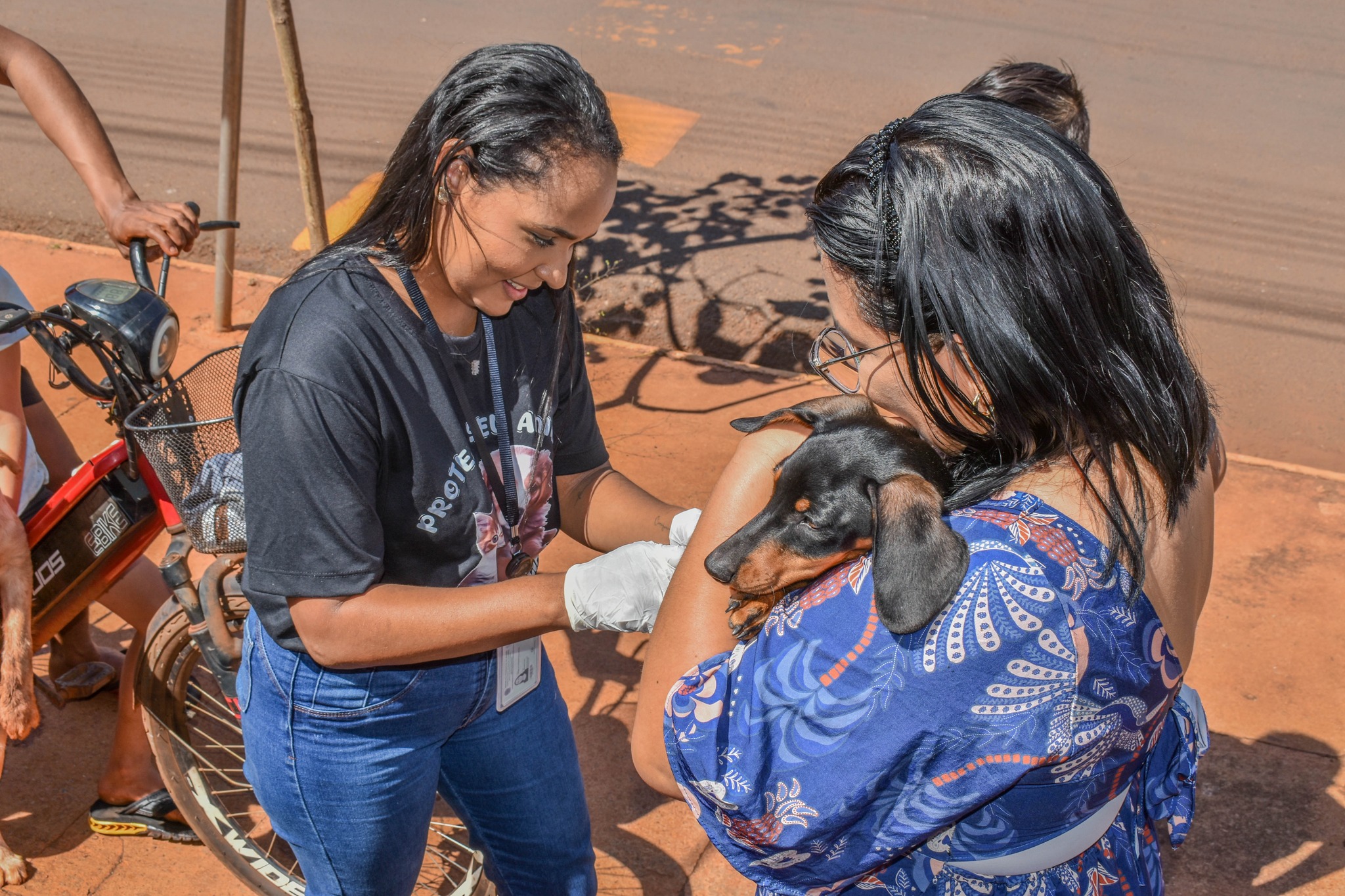 Selvíria vacina mais de 1,5 mil animais contra a raiva; campanha segue no “Postinho”