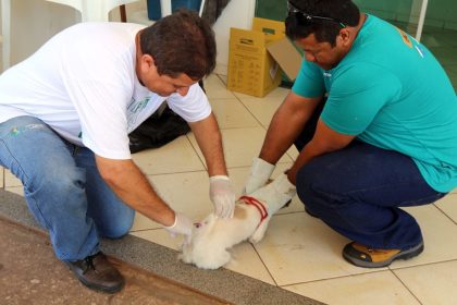 DIA D DA VACINAÇÃO ANTIRRÁBICA – acontece neste sábado em Três Lagoas (4)