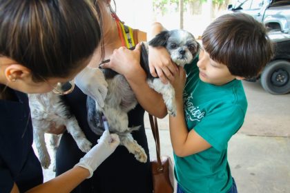 VACINAÇÃO ANTIRRÁBICA – Campanha imuniza mais de 5 mil animais em Três Lagoas