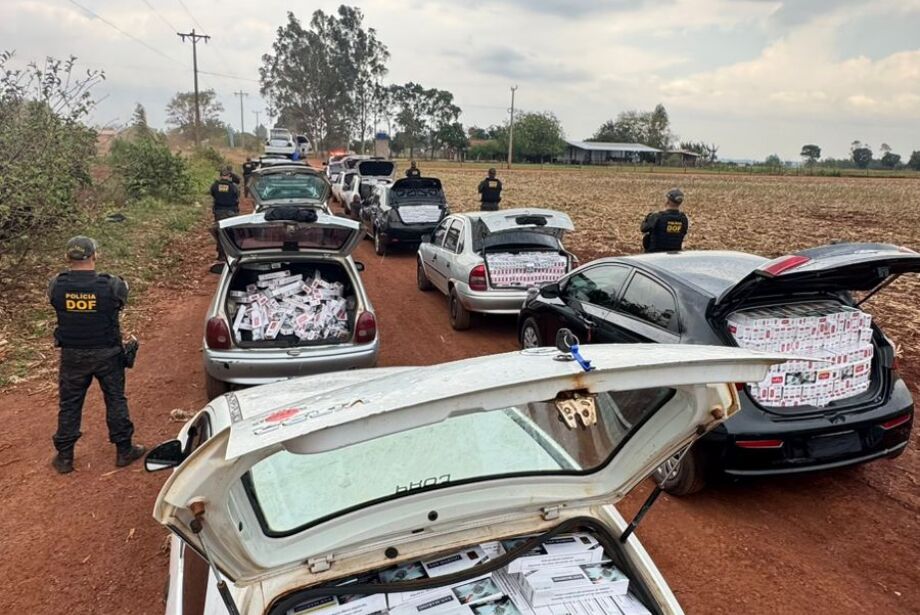 DOF apreende 17 veículos carregados com materiais contrabandeados na fronteira 