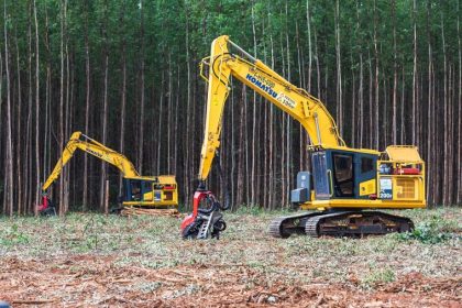 Casa do Trabalhador e FATEC SENAI abrem vagas em cursos para o setor florestal