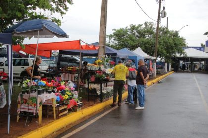 FINADOS – Abertas inscrições para comercialização de produtos no Cemitério de Três Lagoas