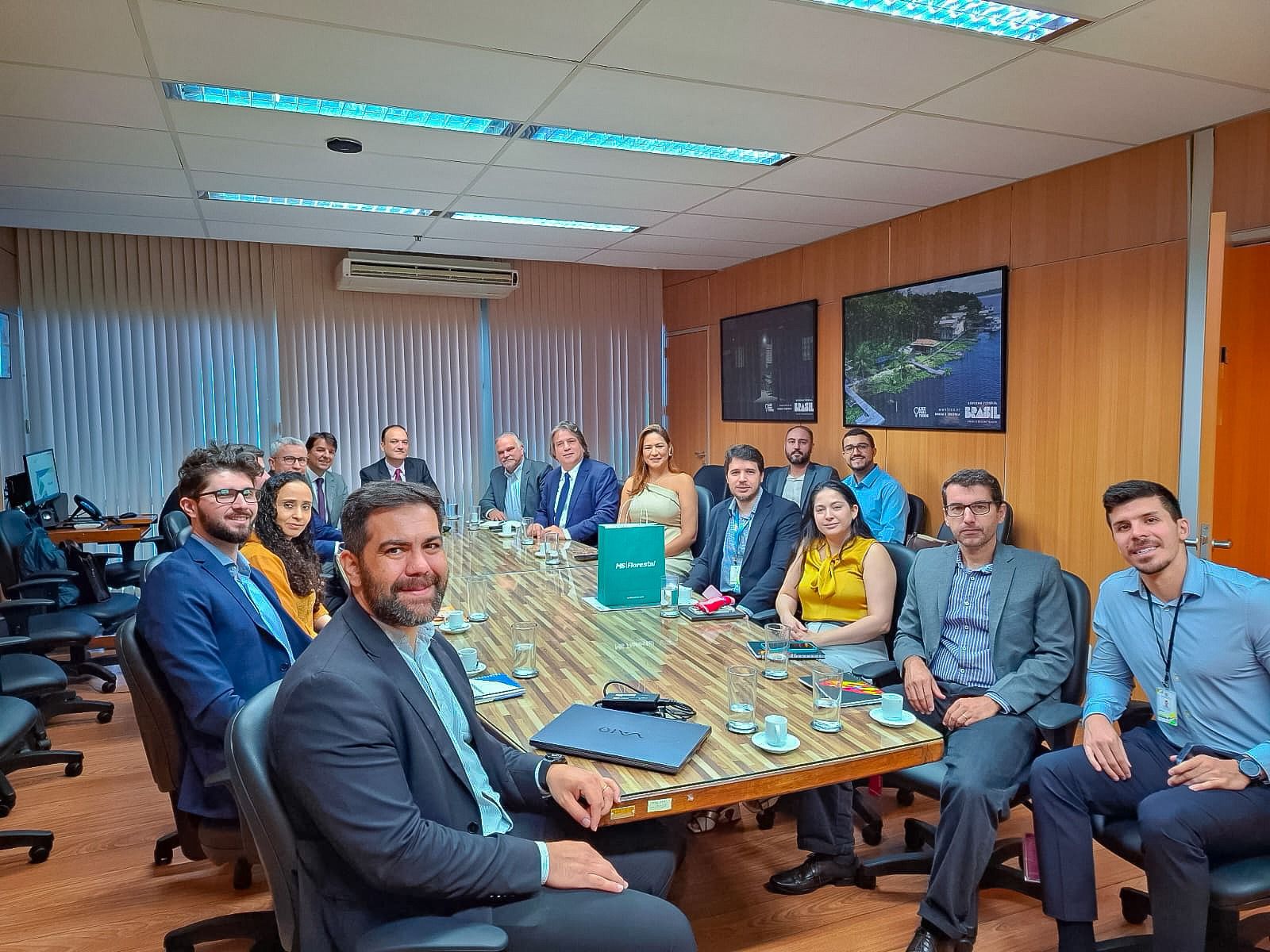 Caravina participa de reunião no Ministério de Minas e Energia para tratar de investimentos no Vale da Celulose