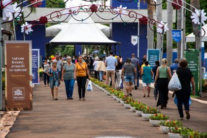 PROCON-TL divulga pesquisa de preços de velas e flores para o Dia de Finados em Três Lagoas