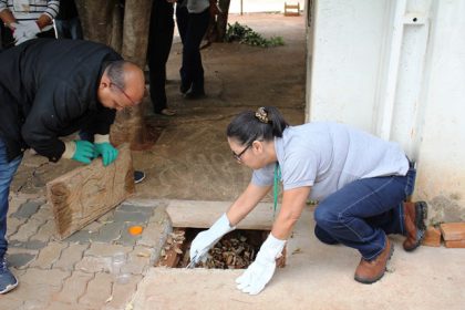 Setores da Saúde ampliam ações de rotina e campanhas sobre prevenção à acidentes com animais peçonhentos